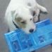 Fredrick Greene - Facebook