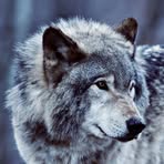 Gregory M Fredrick - Facebook