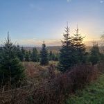 John Fredrick Harper - @topbarn_farming - Instagram