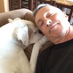 Fredrick harrison - @fredrickharrison321 - Instagram