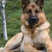 Fredrick harrison - Facebook