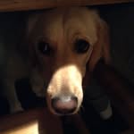 Thomas Fredrick Hart - @epic_3452 - Instagram