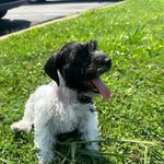 Elijah Fredrick Henderson - @el1jah_henderson - Instagram