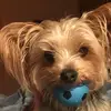 Fredrick Henderson - @fredrickhenderson8 - TikTok