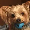 Fredrick Henderson - @fredrickhenderson8 - TikTok