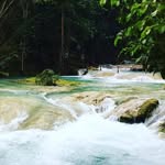 Fredrick Henry - @natureblueholeeco - Instagram
