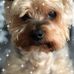 Fred Hewitt - Facebook