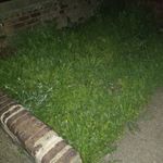 fredrick hicks - @fredrickhicks14 - Instagram
