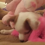 Fredrick Benjamine Hodges - @genfredrickbenh1231 - Instagram