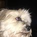 Freddy Holmes - Facebook