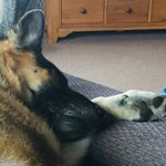 Frederick Howell - @frederick.howell.52 - Instagram