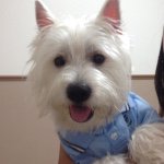 Sir Frederick Howell - @fredsterrocks - Instagram