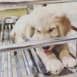 frederick jefferson the second - @frederickjefferson10 - Instagram