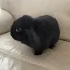 Fredrick Jefferson🤷 - @i.likd.turtles - TikTok