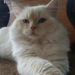 Fredrick Jefferson Pierce - @fredrick_jefferson_pierce - Instagram