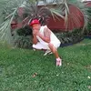 Fredrick Jenkins - @fredrick.jenkins4 - TikTok