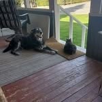 Keith Fredrick - @keithfredrick9 - Instagram