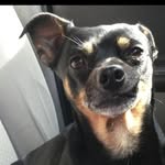 Teddy Fredrick Lambert - @teddy_fredrick_lambert - Instagram