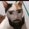 Frederick Langston - @fredericklangston_1313 - TikTok