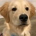 Marlin Fredrick - Facebook