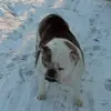 frederick malone - @frederick.malone - TikTok