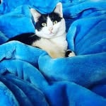 fredrickmeyer - @fredrickmeyer137 - Instagram