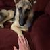 Fredrick Michael - Facebook