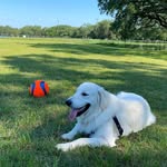 Fredrick Morrison - @stephenrschmidt5 - Instagram
