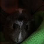 fredrick nelson - @fredgoesplaces - Instagram