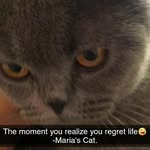 Fredrick Norris - @mistanorris07 - Instagram