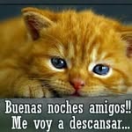 Frederick Palmer - @frederick.palmer.7927 - Instagram