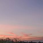Fredrick Payne - @bineetsoobok - Instagram