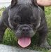 Fredrick Powell - Facebook