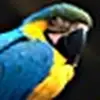 fredrickraymond41 - @fredrickraymond41 - TikTok