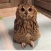 Frederick Rice - Facebook