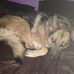 Fred Richardson - Facebook