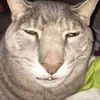 Fredrick Rodriguez - @temporarily_inactive - TikTok