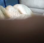 Frederick Schrader - Facebook