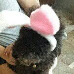frederick silva - @frederick.silva - Instagram