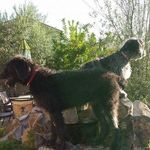 Fredrick William Spangler - @fredrickspangler - Instagram