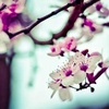 FredrickSutton6863 - @fredricksutton6863 - TikTok
