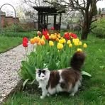 Fredrick Thomas - Facebook