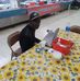 Fredrick Vincent - Facebook