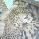 Fredrick Walter Onoka - @fredrickwalteron - Instagram