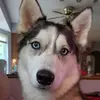 Fredrick Washington - @fredrick.washingt7 - TikTok