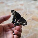 Fredrick Rance Watts - @fredricksphotos - Instagram
