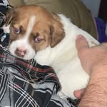 Frederick wells - @fredrick.c.wells - Instagram