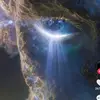 Fredrick Wells - @fredrick.wells7 - TikTok