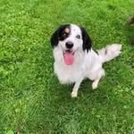 Frederick Wilkinson - @wilkinsonfred67 - Instagram