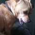 Fredrick Winston - Facebook